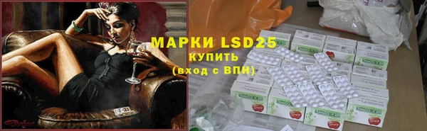 гашик Горняк