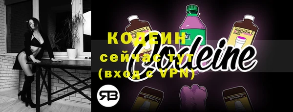 стаф Вяземский