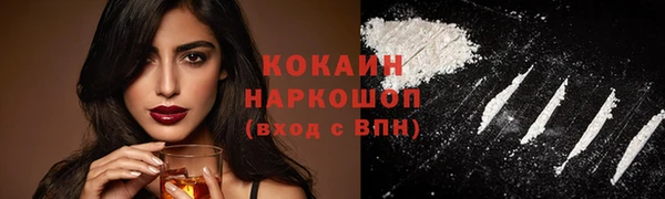 гашик Горняк