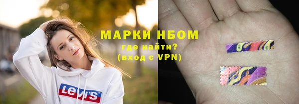 стаф Вяземский