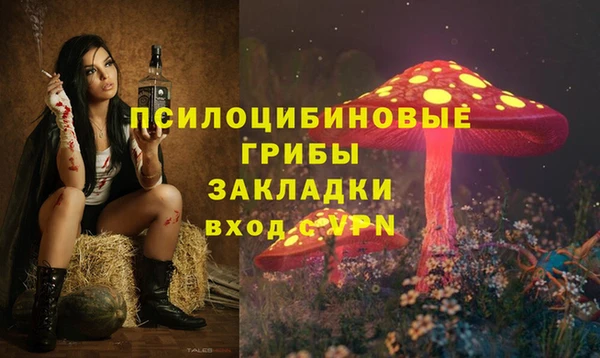 тгк Вязьма