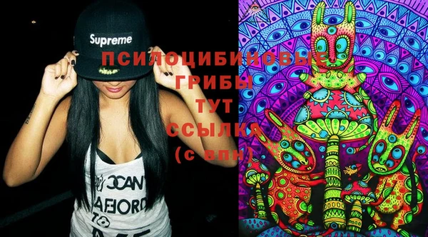 стаф Вяземский
