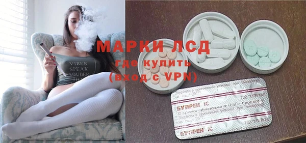 стаф Вяземский