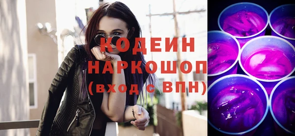 гашик Горняк