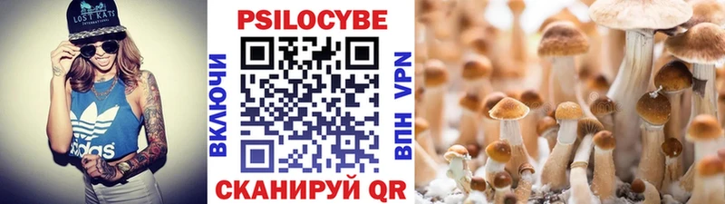 Галлюциногенные грибы MAGIC MUSHROOMS  купить  сайты  Заволжск 